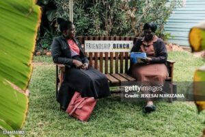 Friendship Bench Talk Therapy Mental Health