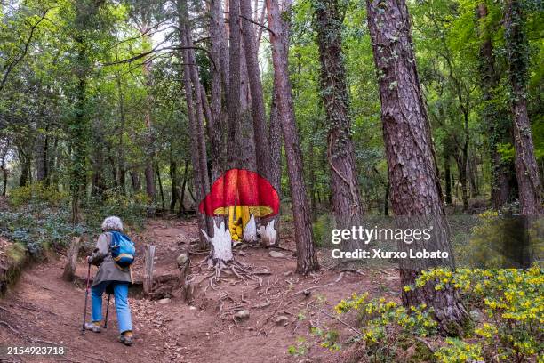 Forest Bathing, Outdoors