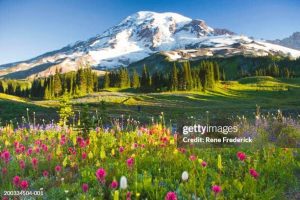 Mt. Rainer