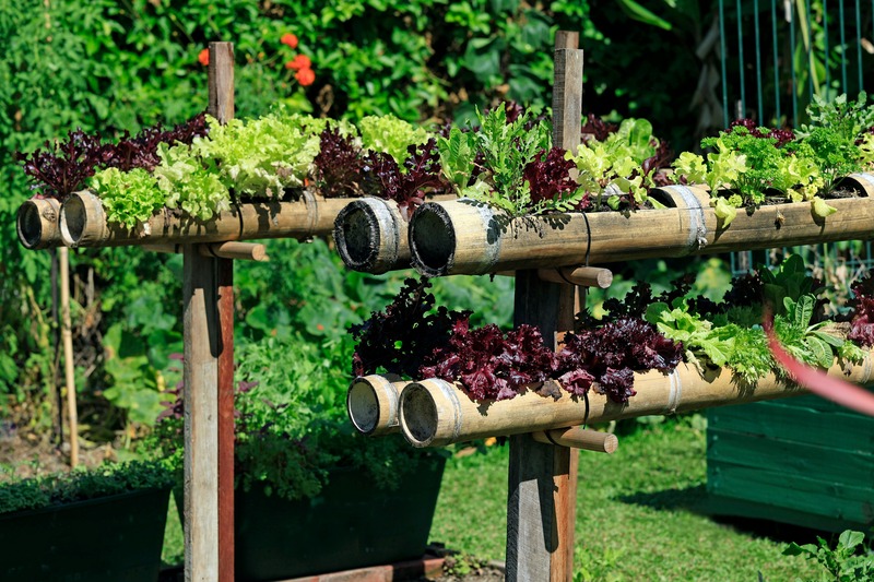 DIY Garden Projects: Upcycling Household Items for Your Garden