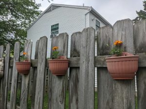 How to install vertical gardens to improve home air quality