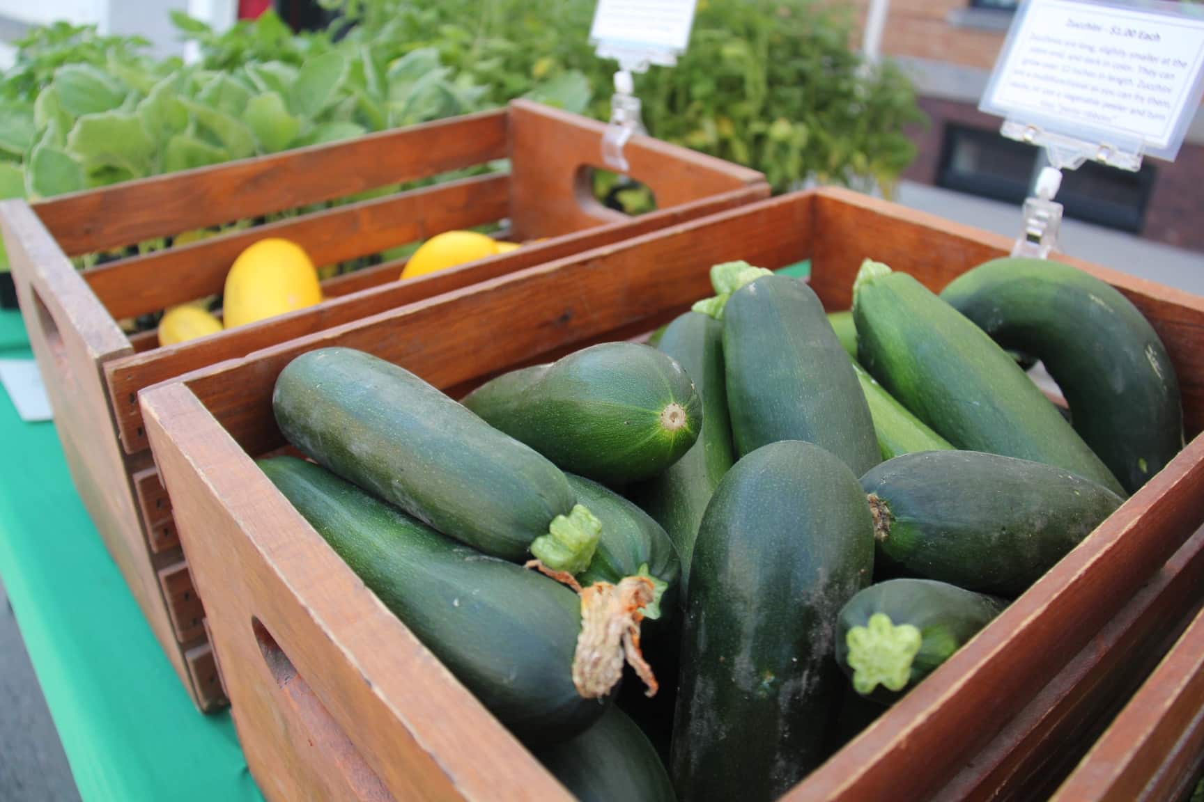 Vegetables are seen for sale at the Wilson Farm Produce booth during the Perry Farmers Market on Thursday, June 13, 2024.