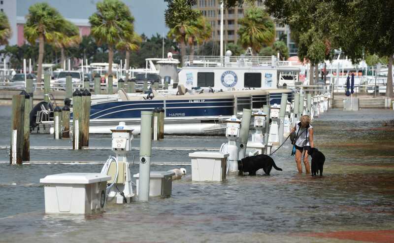 Helene, National Hurricane Center,, Storm Surge