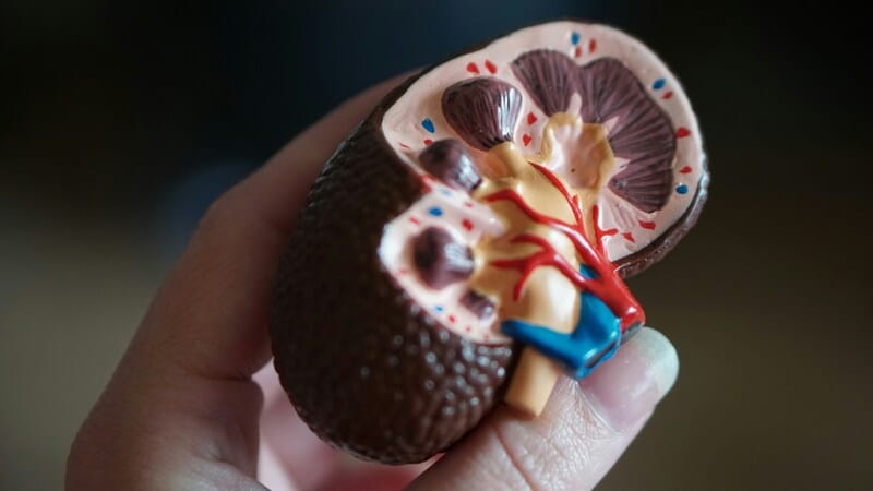 kidney disease.