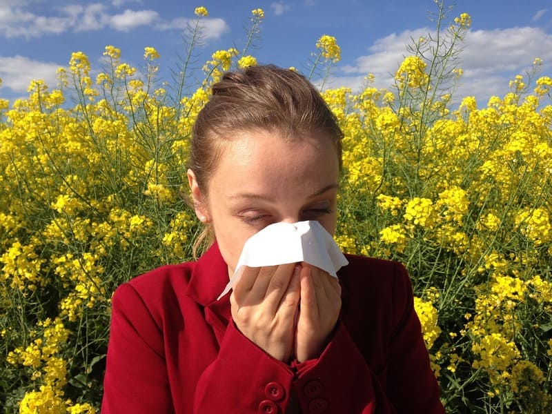 Seasonal Allergies: How to Manage Symptoms Effectively