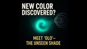 Olo: New Color
