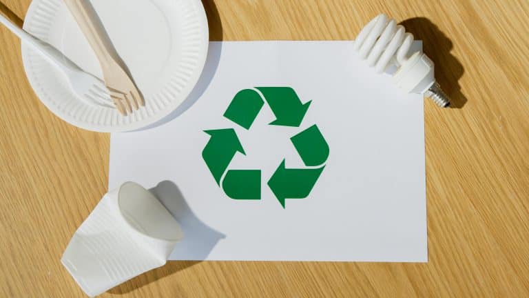 sustainable products