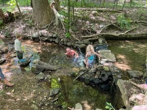 RFK Jr. swims in Rock Creek with family despite bacteria warnings.