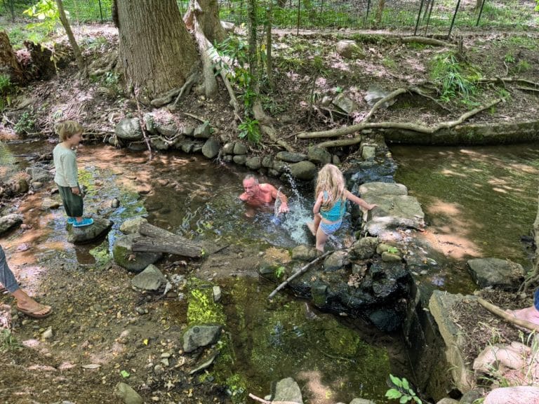 RFK Jr. swims in Rock Creek with family despite bacteria warnings.