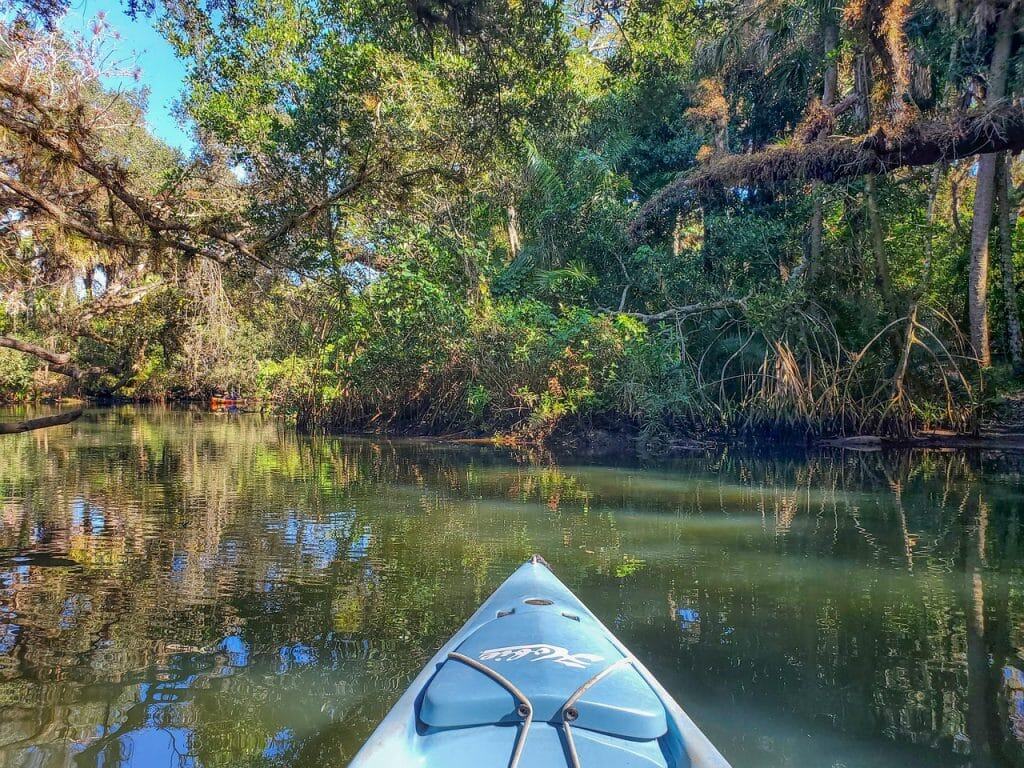 river, kayak, travel, kayaking, tropical, water, reflection, scenery, scenic, nature, summer, leisure, vacation, tourism, estero river, florida, kayak, kayaking, kayaking, kayaking, kayaking, kayaking, florida, florida, florida