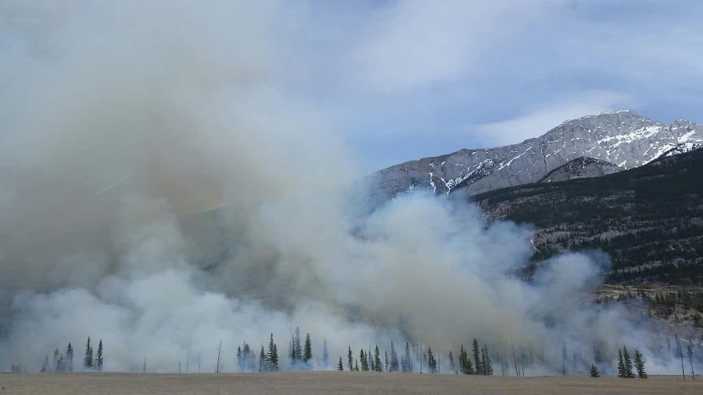 Canadian Wildfires