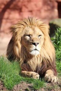 Top Three Zoos in Florida