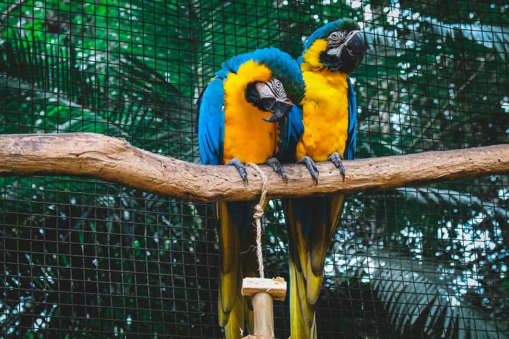 Top Three Zoos in Florida