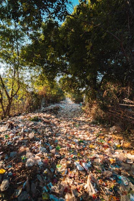 A forest pathway in Myanmar covered with plastic pollution and litter amidst trees. climate change, ecosystem
