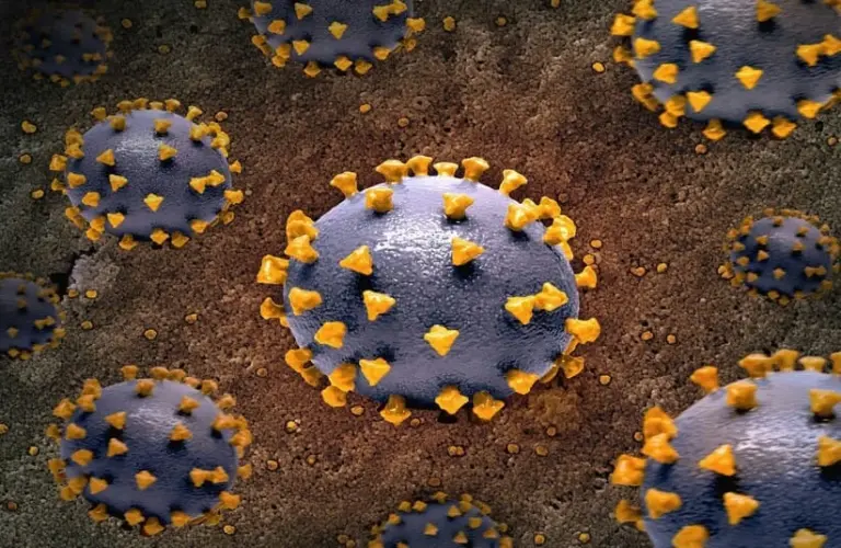 Illustration of measles with blue spherical bodies covered in orange spike proteins, set against a textured brown background, conveying a scientific tone.