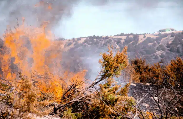 Wildfire rages through dry bushes, sending thick smoke into the air. A building on a distant hilltop contrasts the intense orange flames.