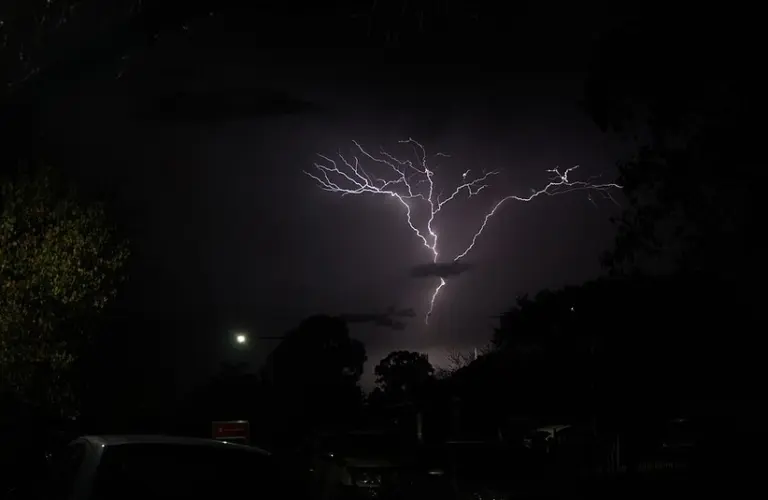 Lightning against a dark night sky in the shape of a tree
