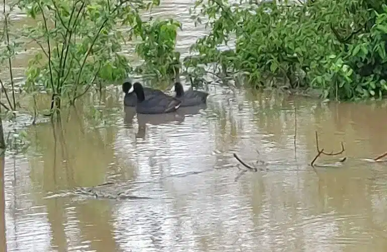 An example of fragile ecosystems Earth Day seeks to preserve