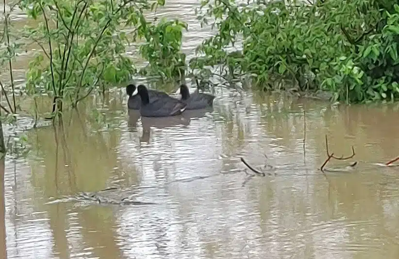 An example of fragile ecosystems Earth Day seeks to preserve