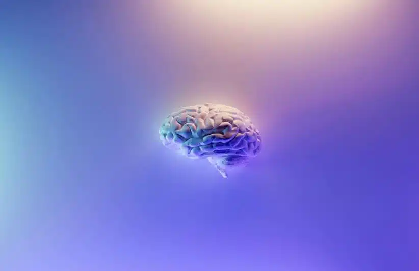 a brain in front of a purple background.