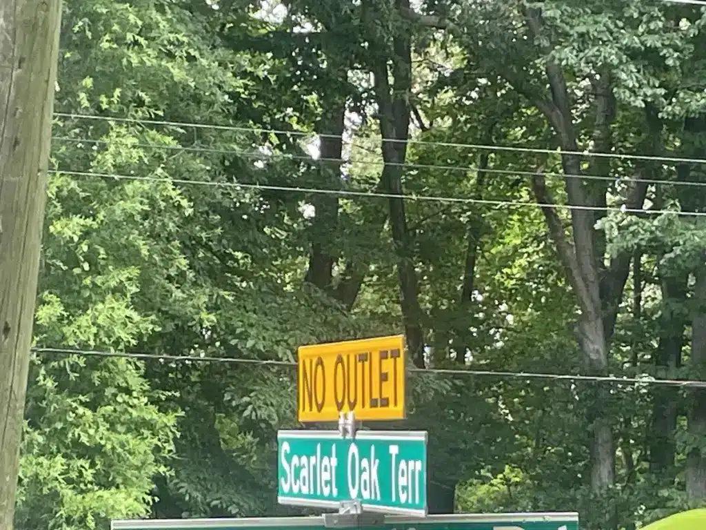 Image of a street sign in Bowie, Maryland wit the words "No Outlet" and "Scarlet Oak Terr" on it with power wires and trees in the background.