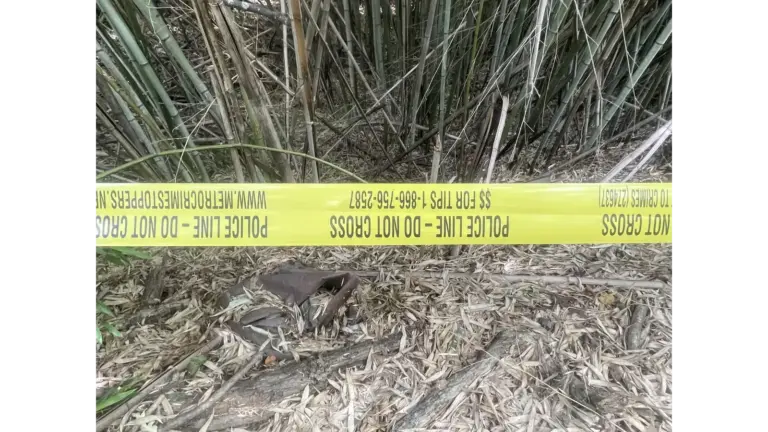 Image of police tap in Bowie Maryland, tapping of the scene of a deadly small plane crash.