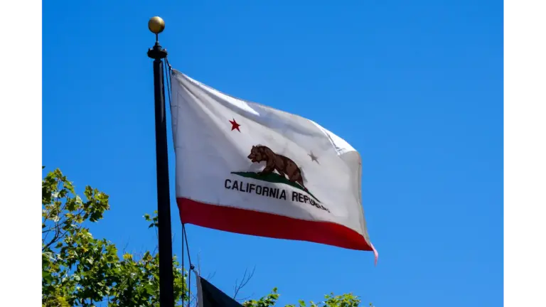 California Flag flies as Raman and Bass will go to run off