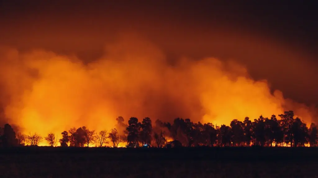 A large, intense wildfire blazing through a line of silhouetted trees at night, with massive clouds of bright orange smoke and flames illuminating the dark sky.