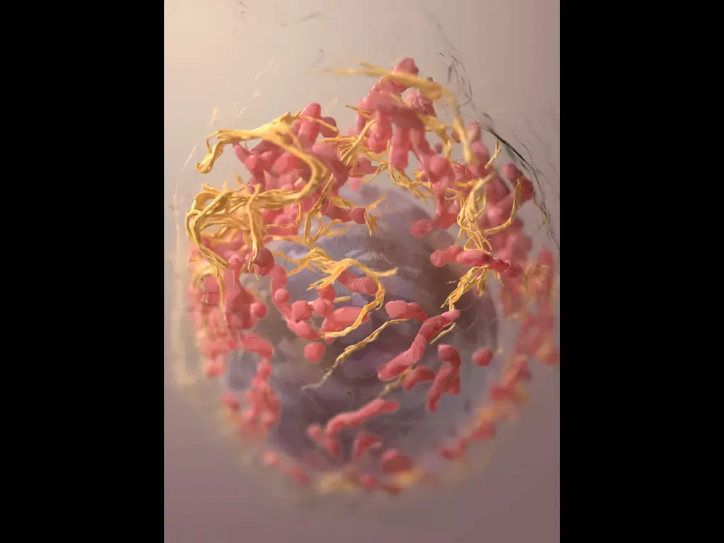 Microscopic illustration of pink rod-shaped bacteria and golden filament-like strands clustered in a soft, oval cloud; intriguing scientific tone. A 3D structure of a melanoma cell derived by ion-abrasion scanning electron microscopy by the National Cancer Institute.